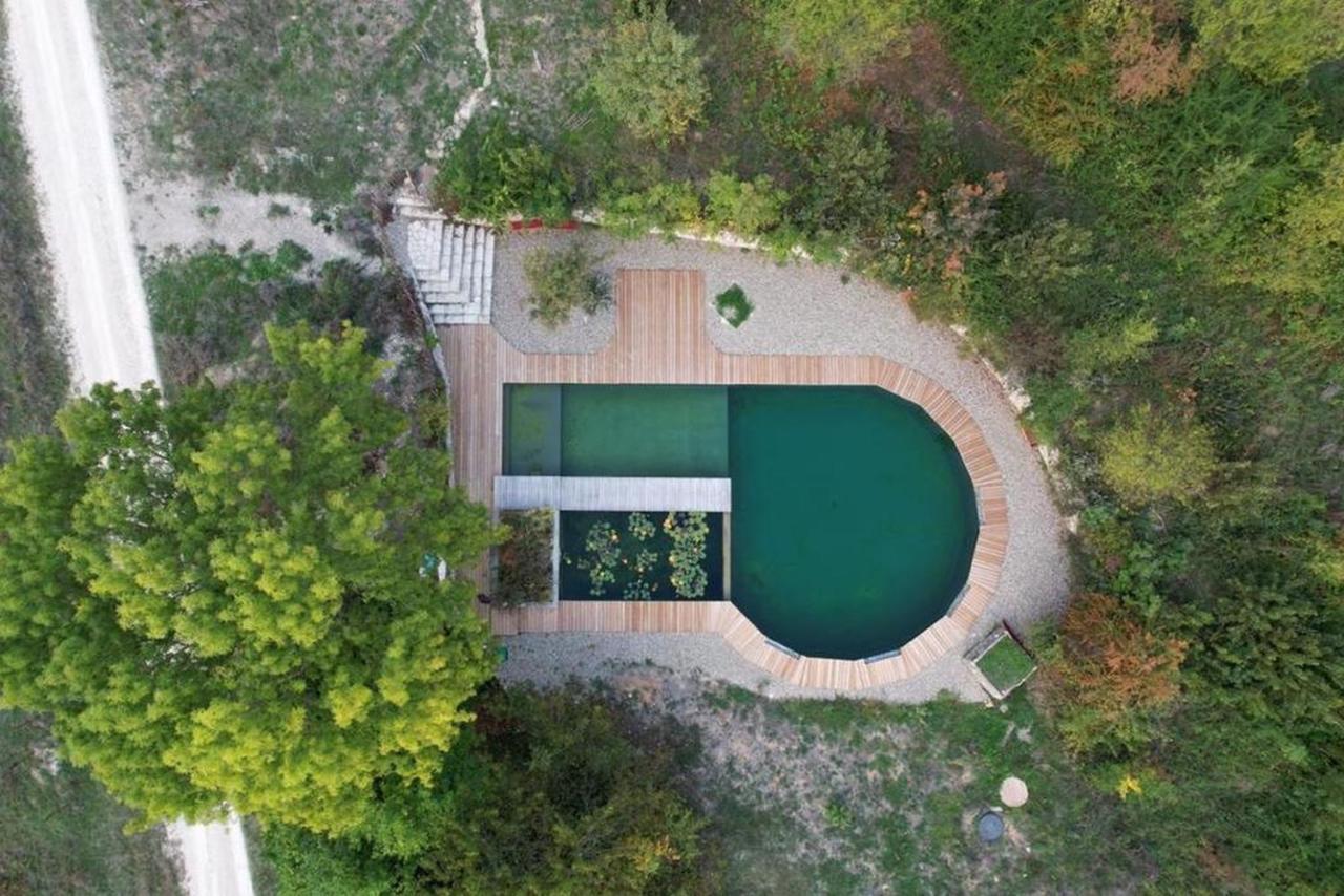 Maison Terre Les Cabanes De Fallot - Sauna Bain-Froid Piscine Naturelle L'isle-Bouzon Esterno foto
