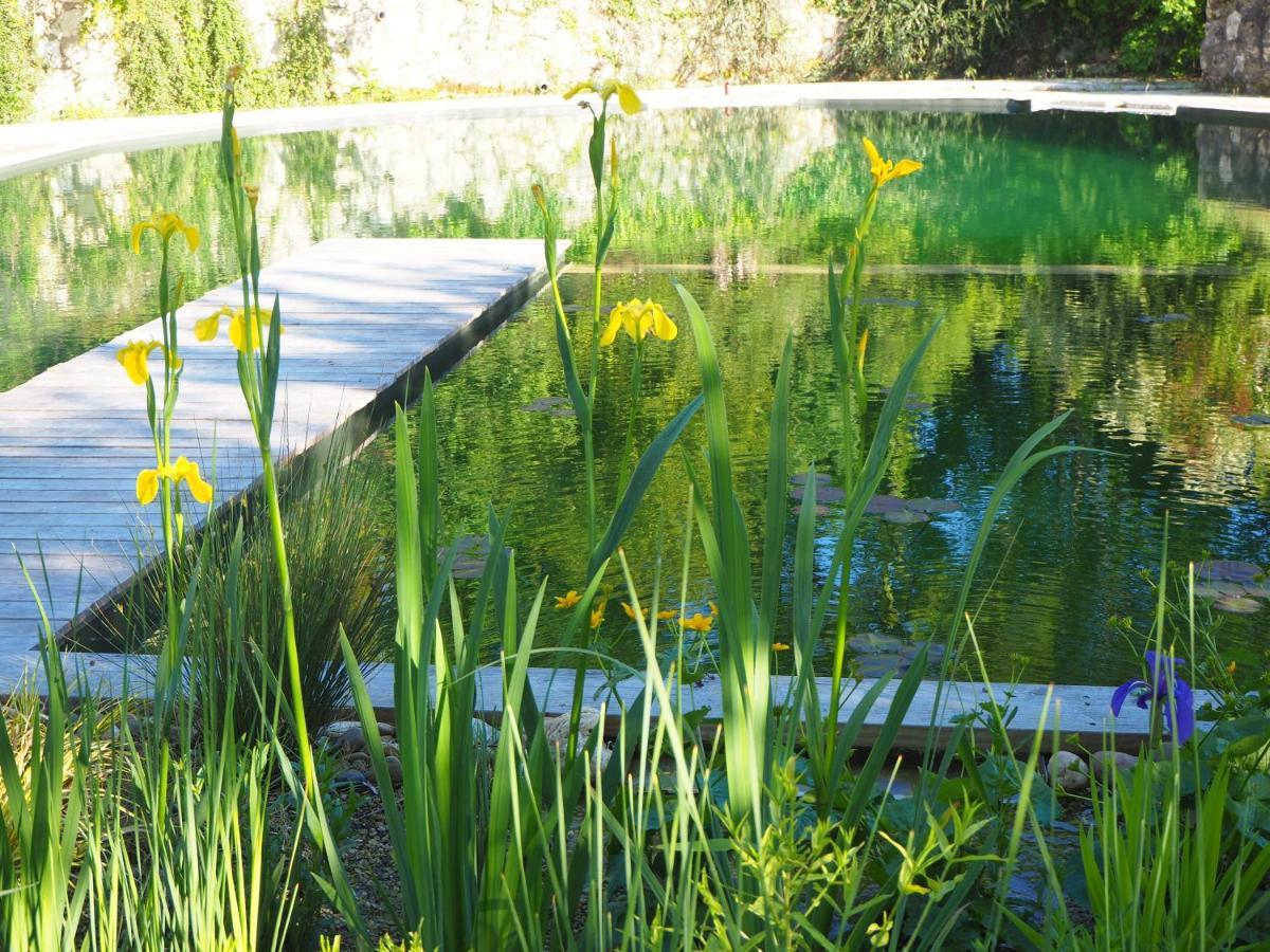 Maison Terre Les Cabanes De Fallot - Sauna Bain-Froid Piscine Naturelle L'isle-Bouzon Esterno foto