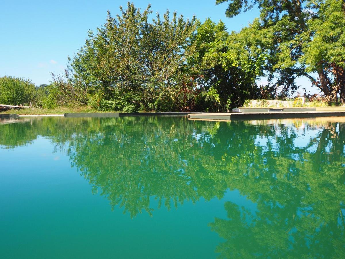 Maison Terre Les Cabanes De Fallot - Sauna Bain-Froid Piscine Naturelle L'isle-Bouzon Esterno foto